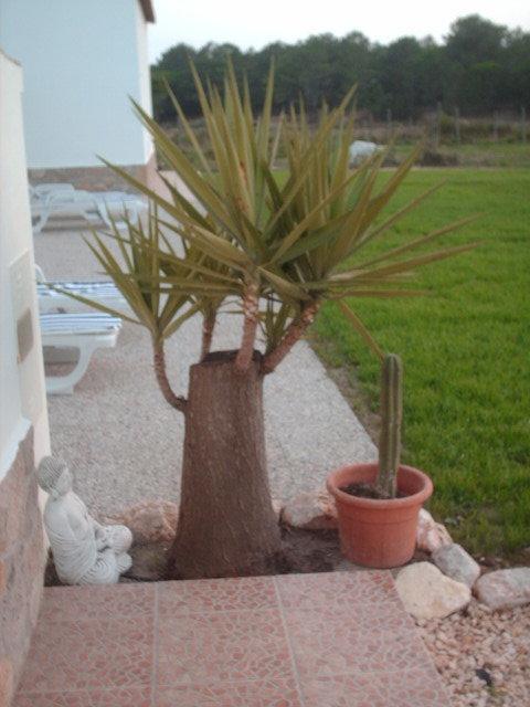 Quinta Da Bunheira Guest House Rogil Exterior photo