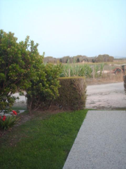Quinta Da Bunheira Guest House Rogil Exterior photo